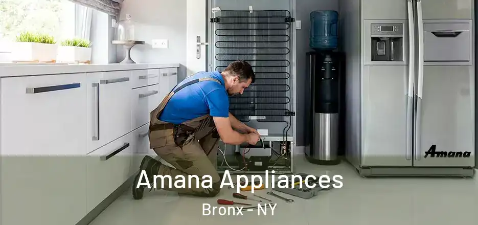  Amana Appliances Bronx - NY
