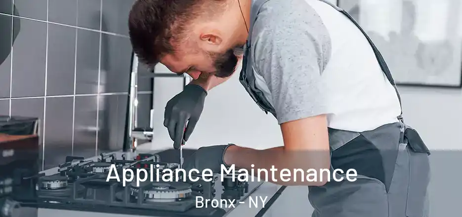  Appliance Maintenance Bronx - NY