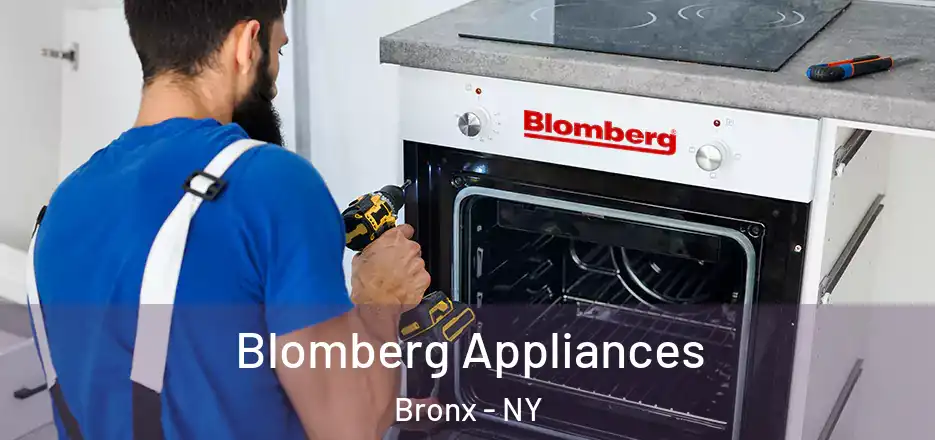  Blomberg Appliances Bronx - NY