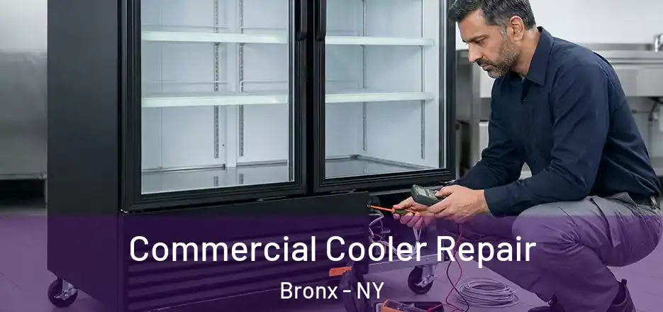  Commercial Cooler Repair Bronx - NY