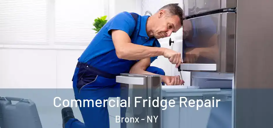  Commercial Fridge Repair Bronx - NY