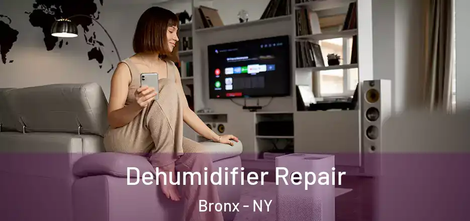  Dehumidifier Repair Bronx - NY