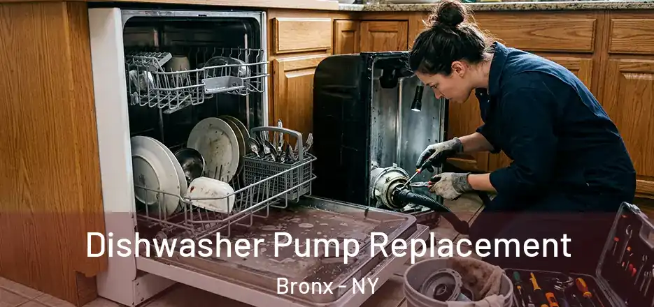 Dishwasher Pump Replacement Bronx - NY