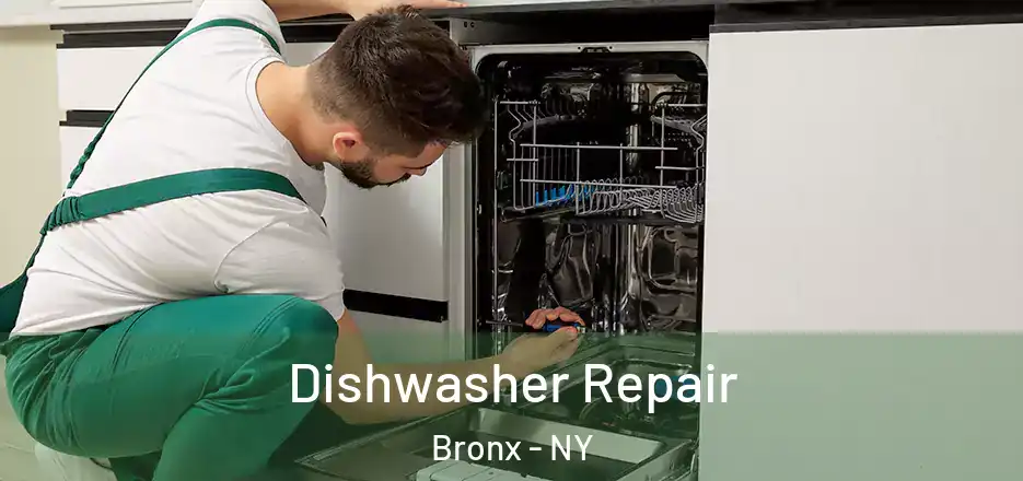  Dishwasher Repair Bronx - NY