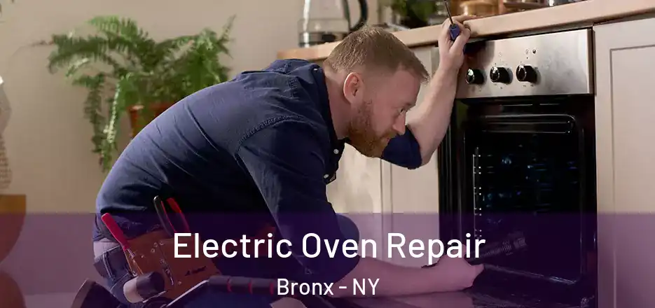  Electric Oven Repair Bronx - NY