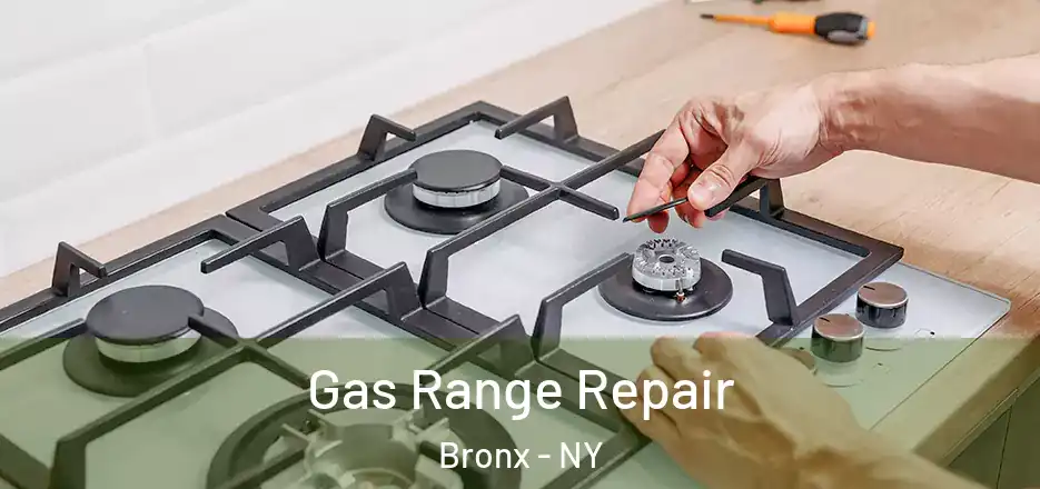  Gas Range Repair Bronx - NY