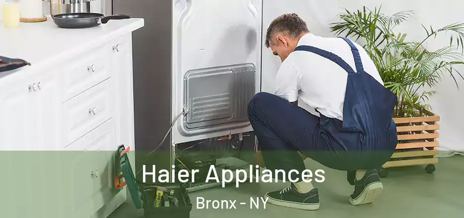  Haier Appliances Bronx - NY