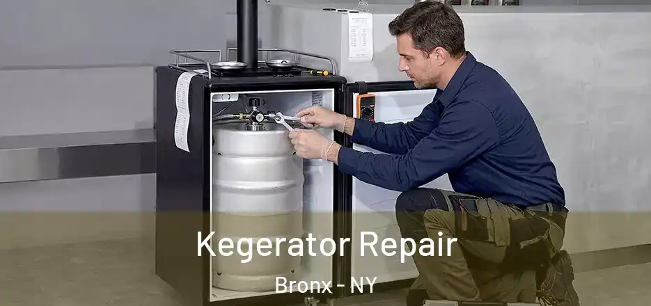  Kegerator Repair Bronx - NY
