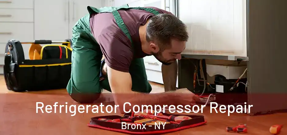  Refrigerator Compressor Repair Bronx - NY