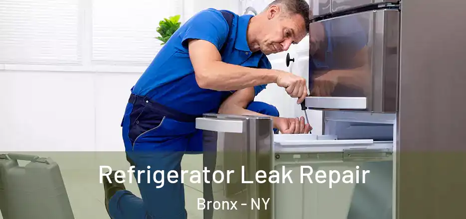  Refrigerator Leak Repair Bronx - NY