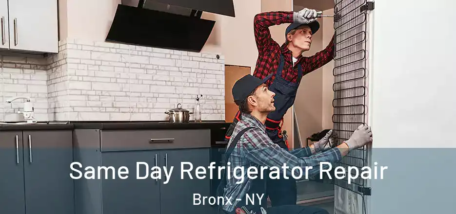  Same Day Refrigerator Repair Bronx - NY