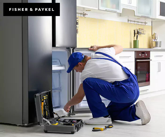 Top-Rated Fisher & Paykel Appliance Experts: Your Brand Specialist in Bronx, NY